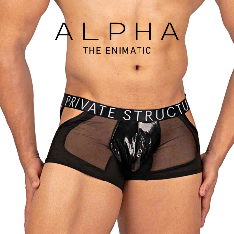 Private Structure กางเกงชั้นในชาย รุ่น Alpha Low Waist Mesh Back Jockstrap Trunk - Shades of Black [4420]
